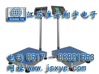 XYES系列電子秤 電子臺(tái)秤