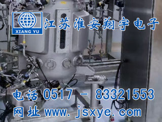 反應器計量,反應器計量罐,反應器稱重模塊,反應器稱重系統(tǒng),反應器秤,XYRES