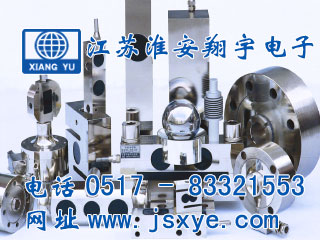 XYWS稱(chēng)重模塊 定制